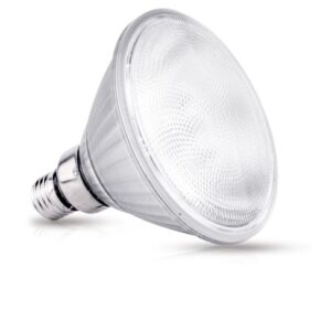 LÂMPADA LED PAR30 BIVOLT 10W - 6500K